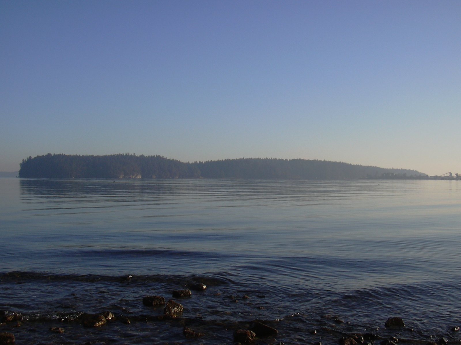 A quiet rocky beach along the Vancouver Island coast.